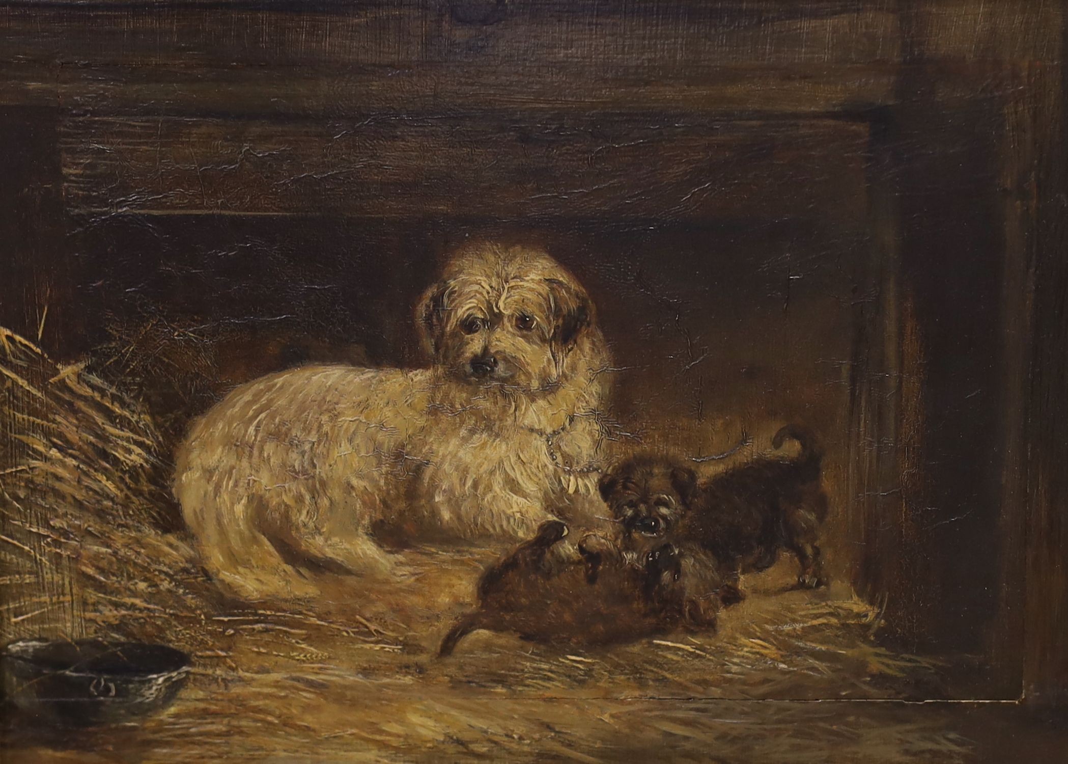 After Armfield, oil on wooden panel, Bitch and puppies in a stable, 17 x 23cm